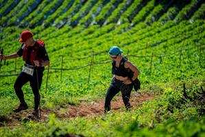 BIB: 
                            <button type="button" onclick="openModal(19162734)" class="btn btn-primary btn-sm float-right btn-popup" data-toggle="modal" data-target=".modal-high-quality">
                        <i class="fas fa-shopping-cart"></i> Add to Cart
                    </button>
                                            <button type="button" onclick="isThisMe(19162734, true)" class="btn btn-success btn-sm float-right btn-popup btn-isme hidden" data-toggle="tooltip" data-placement="bottom" title="นี่คือรูปของคุณใช่ไหม คลิกที่นี่เพื่อเอาเข้าอัลบั้ม">
                        <i class="fas fa-plus"></i> Add to album
                    </button>
                    <button type="button" onclick="isThisMe(19162734, false)" class="btn btn-warning btn-sm float-right btn-popup btn-isnotme hidden">
                        <i class="fas fa-ban"></i> Remove from album
                    </button>